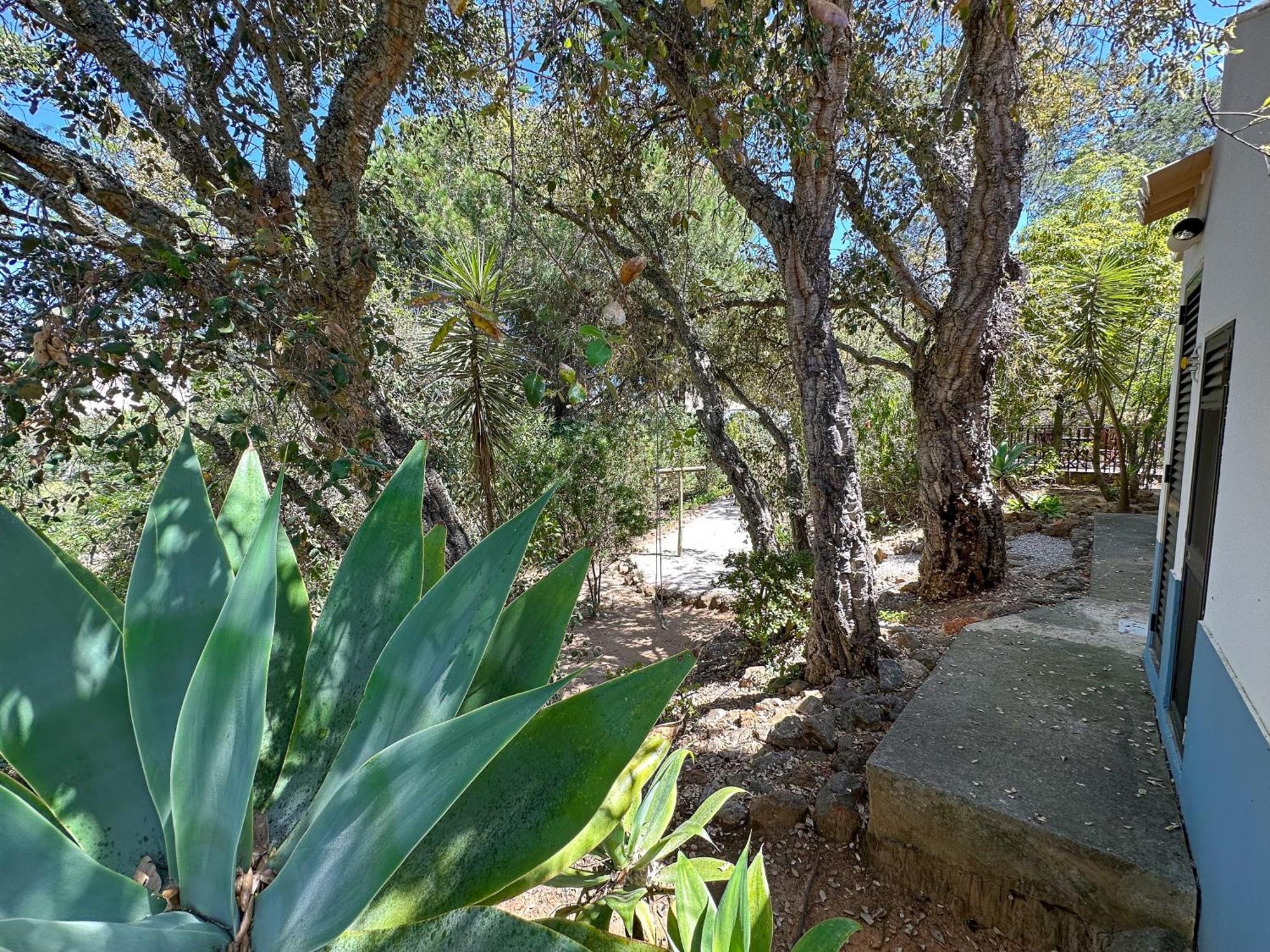 מלון קארבואירו Quinta Do Rosal מראה חיצוני תמונה