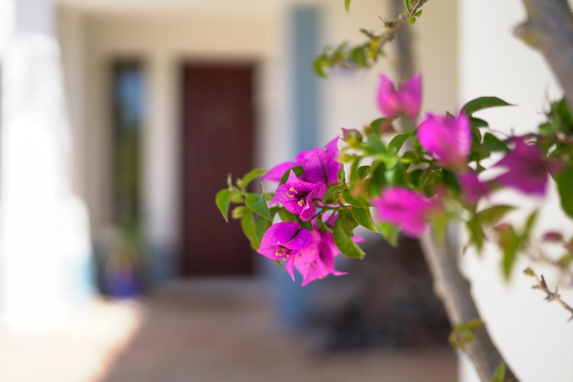 מלון קארבואירו Quinta Do Rosal מראה חיצוני תמונה